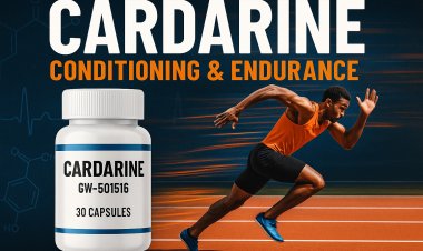 Cardarine: Why It’s Studied for Conditioning and Athletic Endurance