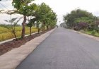 Mudik 2026 Warga Ngawi Puji Pemkab Ngawi Jalan Kabupaten Mulus Bikin Nyaman