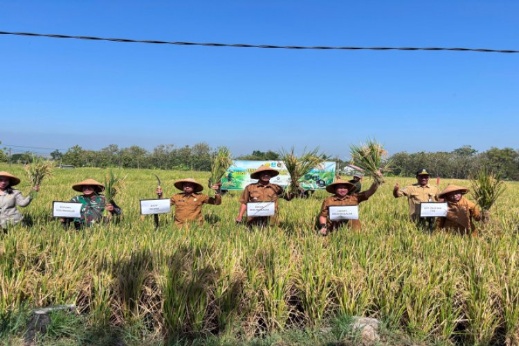 Di Kedunggalar DKPP Ngawi Sosialisasikan PPHT